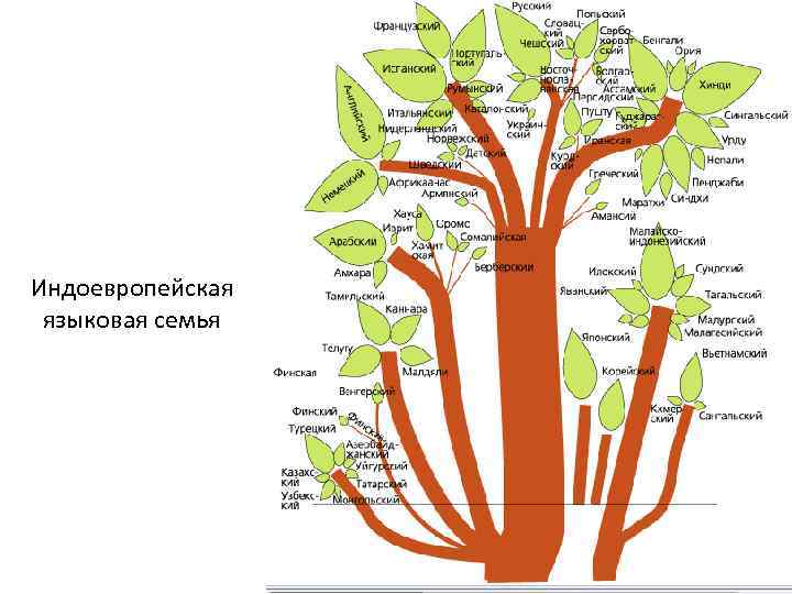 Индоевропейская языковая семья 