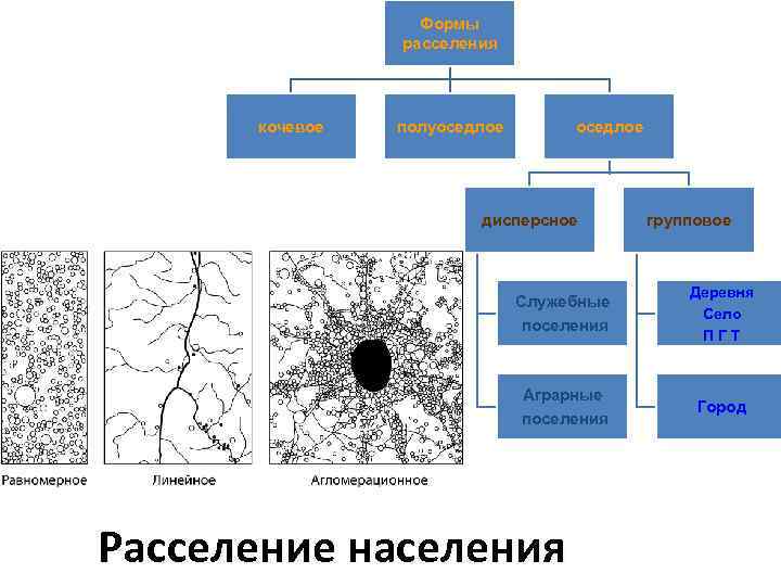 Формы расселения кочевое полуоседлое дисперсное групповое Служебные поселения Деревня Село ПГТ Аграрные поселения Город