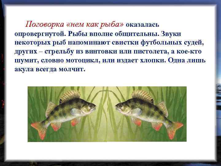  Поговорка «нем как рыба» оказалась опровергнутой. Рыбы вполне общительны. Звуки некоторых рыб напоминают