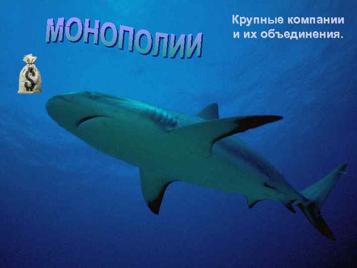 Крупные компании и их объединения. 