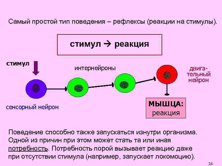 Реакции поведения человека. Стимул поведенческая реакция. Модель поведения типа стимул реакция. Стимул вызывает реакцию. Поведение реакция.