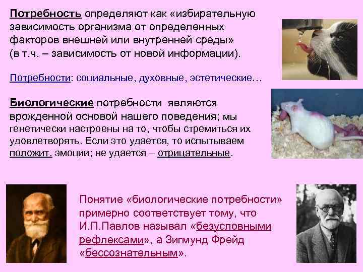 Потребность определяют как «избирательную зависимость организма от определенных факторов внешней или внутренней среды» (в