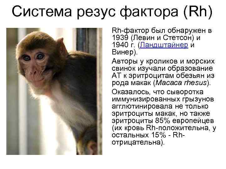 Система резус фактора (Rh) Rh-фактор был обнаружен в 1939 (Левин и Стетсон) и 1940