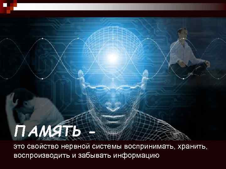 ПАМЯТЬ это свойство нервной системы воспринимать, хранить, воспроизводить и забывать информацию 
