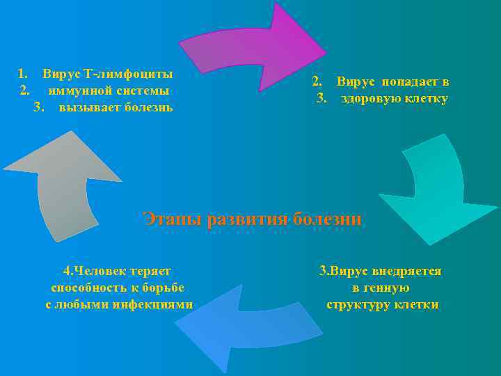 1. Вирус Т-лимфоциты 2. иммунной системы 3. вызывает болезнь 2. Вирус попадает в 3.