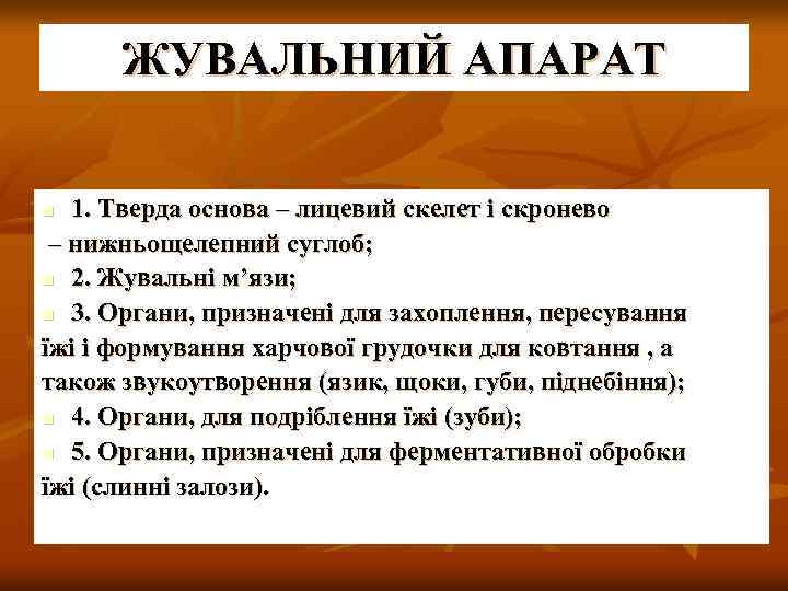 ЖУВАЛЬНИЙ АПАРАТ 1. Тверда основа – лицевий скелет і скронево – нижньощелепний суглоб; n