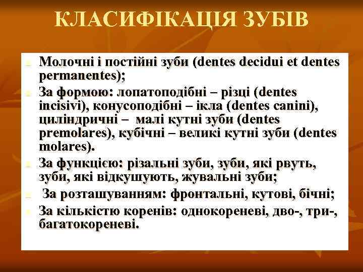 КЛАСИФІКАЦІЯ ЗУБІВ n n n Молочні і постійні зуби (dentes decidui et dentes permanentes);