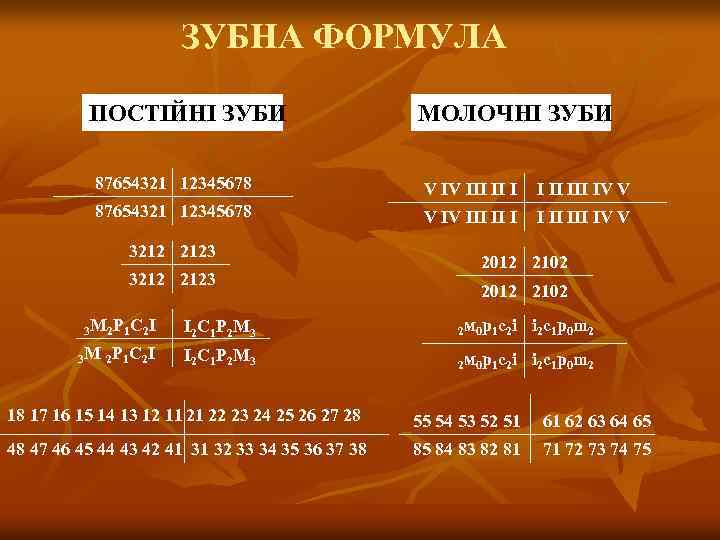 ЗУБНА ФОРМУЛА ПОСТІЙНІ ЗУБИ МОЛОЧНІ ЗУБИ 87654321 12345678 V IV III II III IV