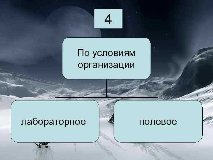 4 4 По условиям организации лабораторное полевое 