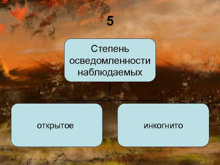 5 Степень осведомленности наблюдаемых открытое инкогнито 