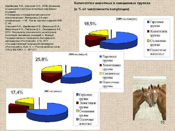 Щербакова Н. В. , Спасская Н. Н. , 2009. Динамика социальной структуры популяции одичавших