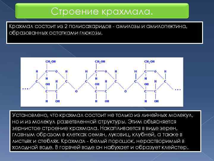 Особенности строения структуры. Химическая структура крахмала. Строение полисахаридов крахмал. Молекула полисахаридов амилозы и амилопектина. Химическое строение крахмала.