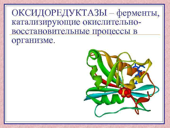 Ферменты индивидуальный проект 10 класс