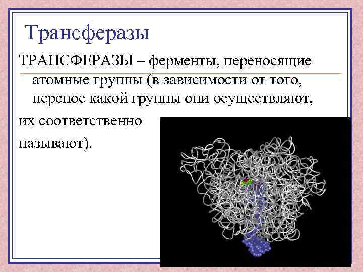 Ферменты проект по химии