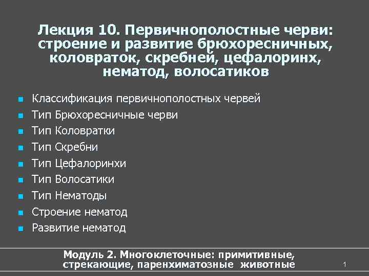 Лекция 10. Первичнополостные черви: строение и развитие брюхоресничных, коловраток, скребней, цефалоринх, нематод, волосатиков n