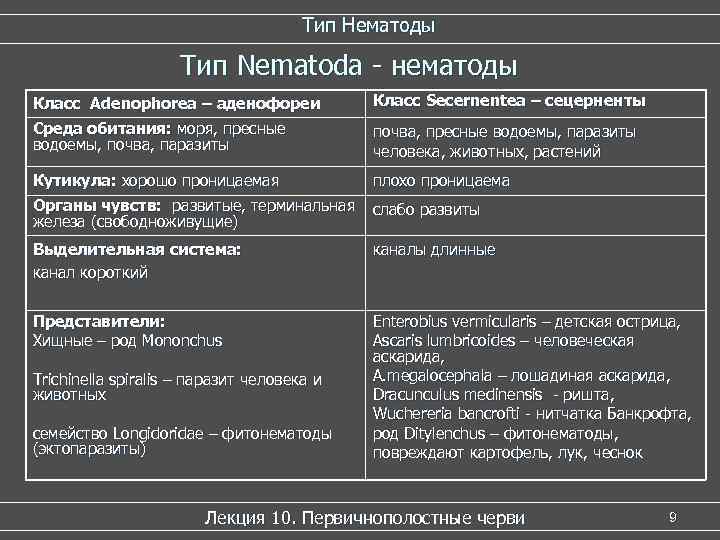 Тип Нематоды Тип Nematoda - нематоды Класс Adenophorea – аденофореи Класс Secernentea – сецерненты