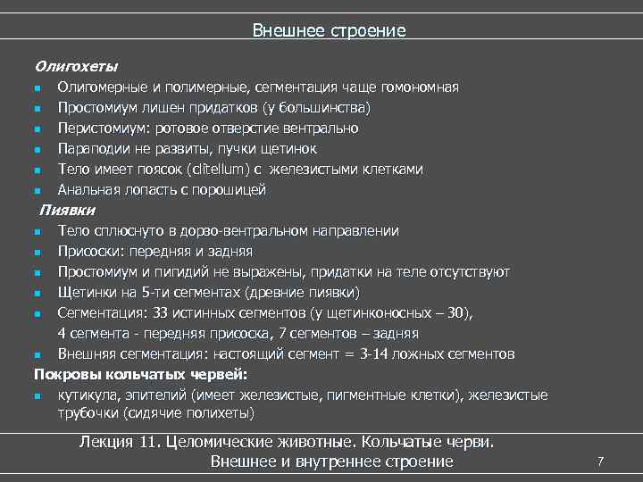 Внешнее строение Олигохеты n n n Олигомерные и полимерные, сегментация чаще гомономная Простомиум лишен