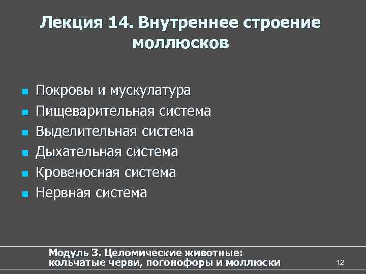 Лекция 14. Внутреннее строение моллюсков n n n Покровы и мускулатура Пищеварительная система Выделительная
