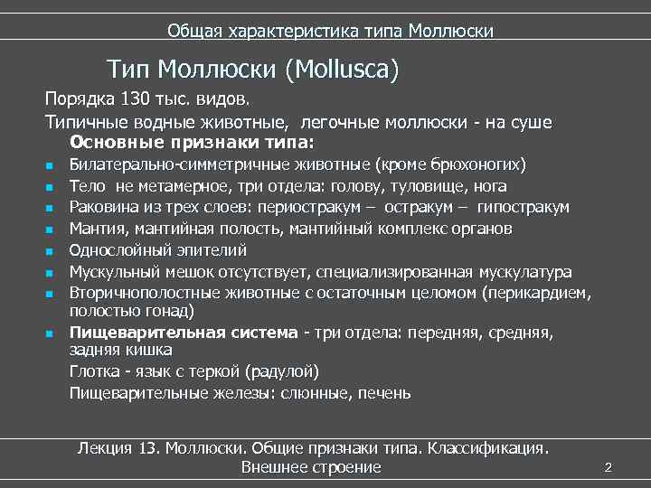 Общая характеристика типа Моллюски Тип Моллюски (Mollusca) Порядка 130 тыс. видов. Типичные водные животные,