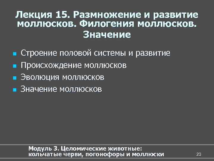 Лекция 15. Размножение и развитие моллюсков. Филогения моллюсков. Значение n n Строение половой системы