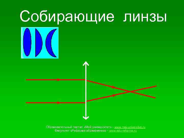 Собирающие линзы Образовательный портал «Мой университет» - www. moi-universitet. ru Факультет «Реформа образования» -