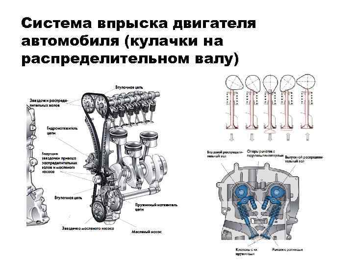 Система впрыска двигателя автомобиля (кулачки на распределительном валу) 