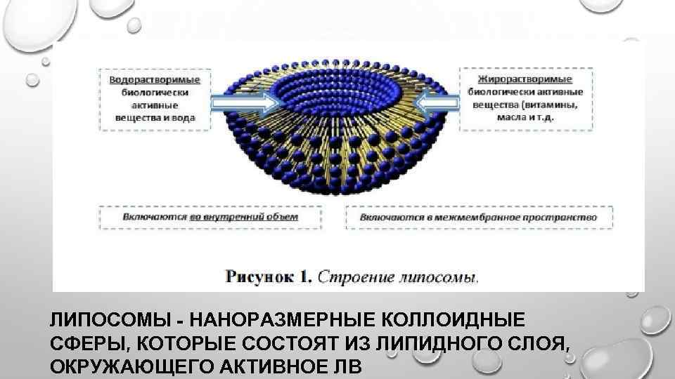 Липосомальное железо. Строение липосомы. Структура липосомы. Липосома строение. Лекарственные липосомы.