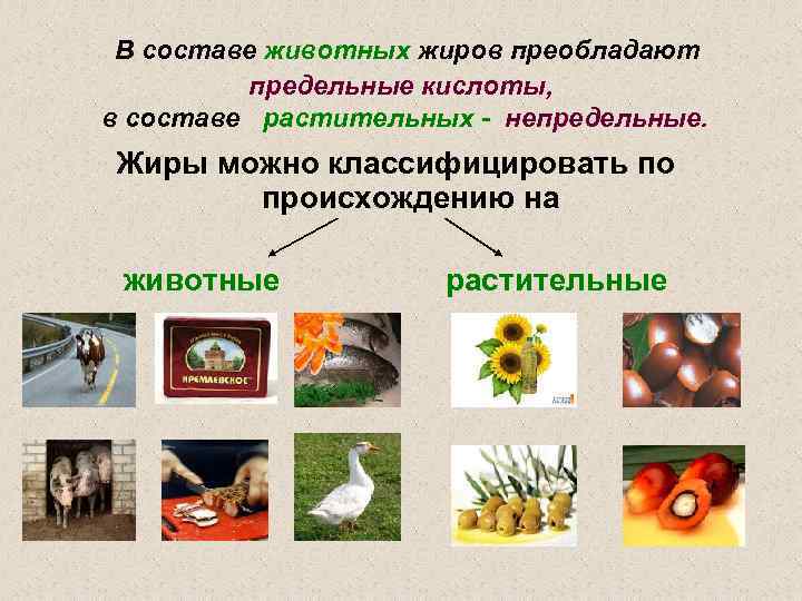 В составе животных жиров преобладают предельные кислоты, в составе растительных - непредельные. Жиры можно