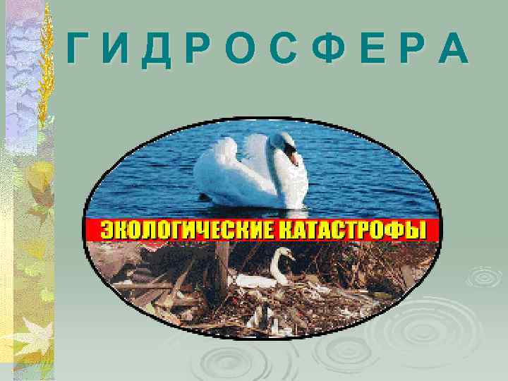 ГИДРОСФЕРА 