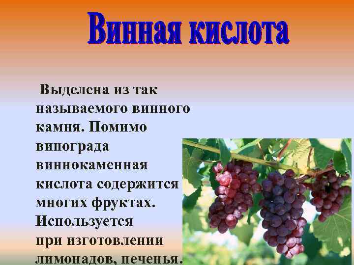 Выделена из так называемого винного камня. Помимо винограда виннокаменная кислота содержится во многих фруктах.