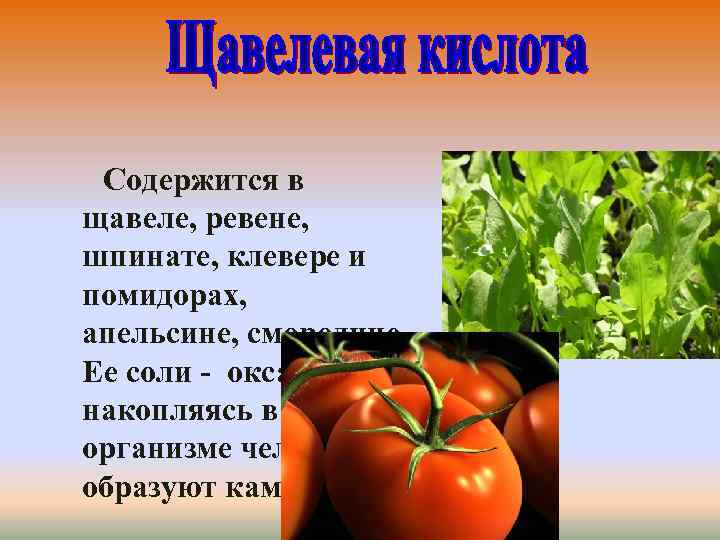 Содержится в щавеле, ревене, шпинате, клевере и помидорах, апельсине, смородине. Ее соли - оксалаты,