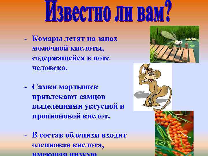 На какой цвет летят комары. На какой запах летят комары. Комар летит. Молочная кислота в природе.