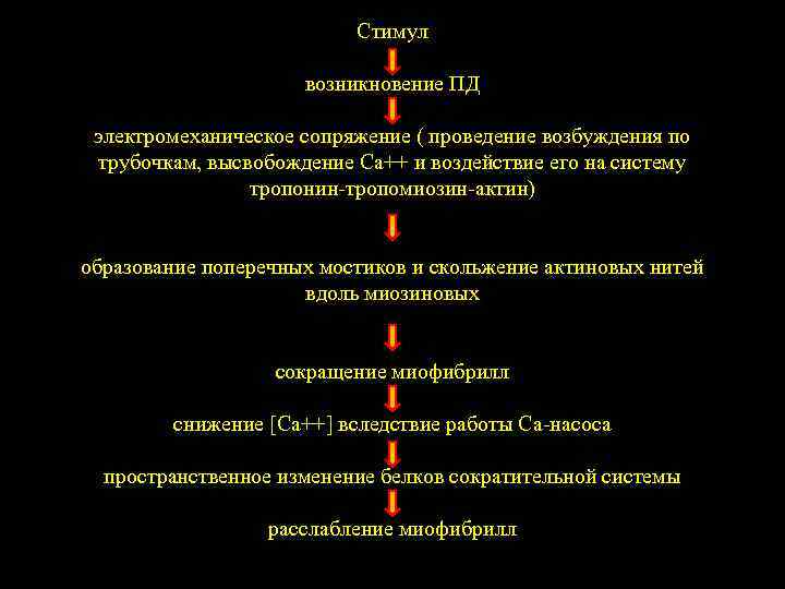  Стимул возникновение ПД электромеханическое сопряжение ( проведение возбуждения по трубочкам, высвобождение Са++ и