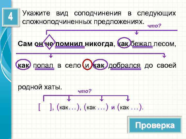 Схема однородное соподчинение