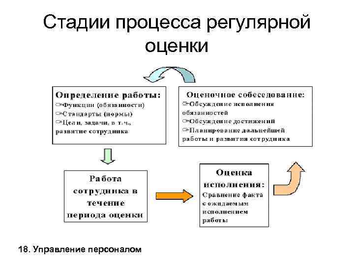 Стадии процесса регулярной оценки 18. Управление персоналом 