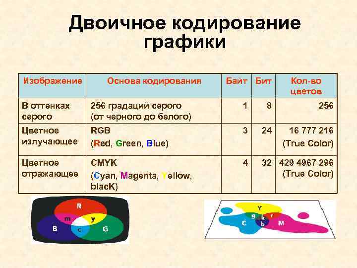  Двоичное кодирование графики Изображение Основа кодирования Байт Бит Кол-во цветов В оттенках 256