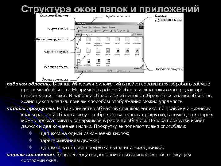  Структура окон папок и приложений рабочая область. В окнах Windows-приложений в ней отображаются