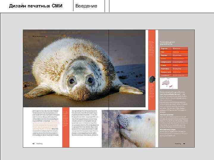 Дизайн печатных СМИ  Введение 