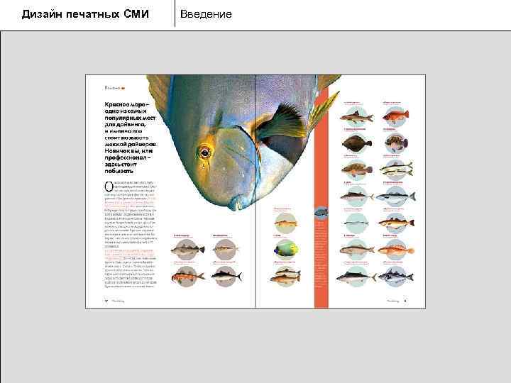 Дизайн печатных СМИ  Введение 
