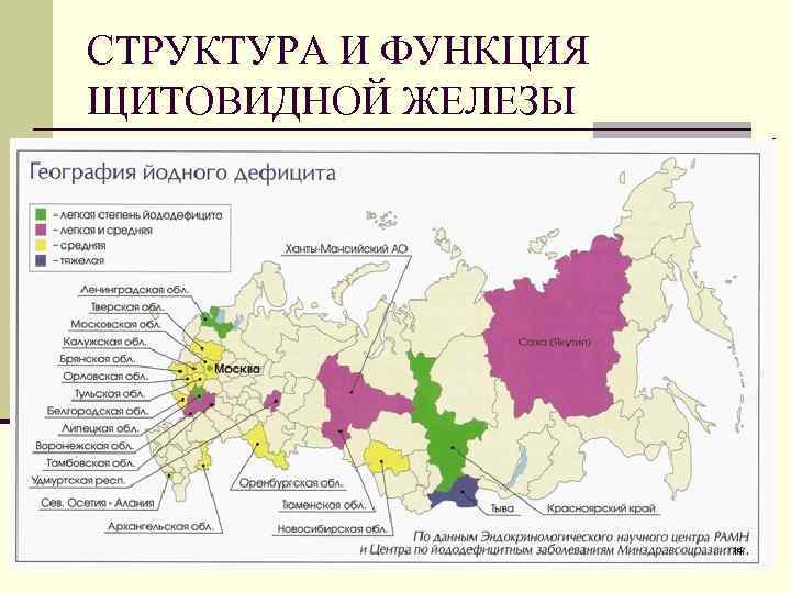 СТРУКТУРА И ФУНКЦИЯ ЩИТОВИДНОЙ ЖЕЛЕЗЫ 14 