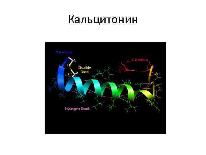 Кальцитонин 