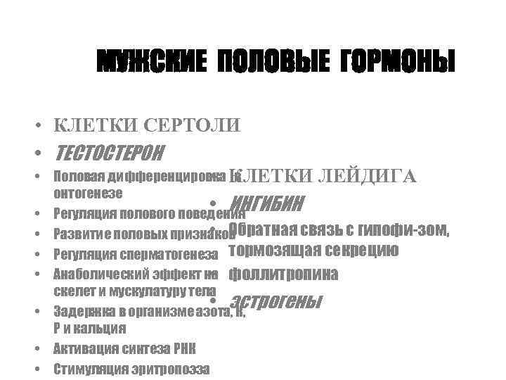   МУЖСКИЕ ПОЛОВЫЕ ГОРМОНЫ  • КЛЕТКИ СЕРТОЛИ • ТЕСТОСТЕРОН   