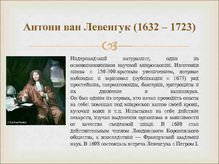 Антони ван Левенгук (1632 – 1723) Нидерландский натуралист, один из основоположников научной микроскопии. Изготовив