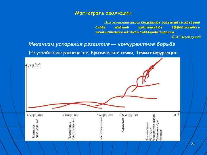 Магистраль эволюции При эволюции видов сохраняют развитие те, которые своей жизнью увеличивают эффективность использования