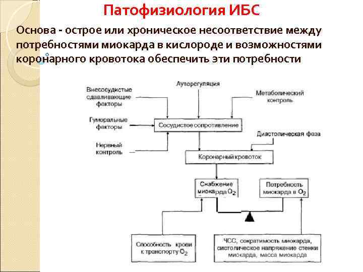   Патофизиология ИБС Основа - острое или хроническое несоответствие между потребностями миокарда