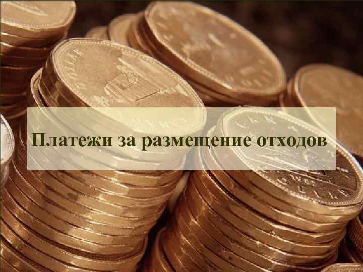 Платежи за размещение отходов 