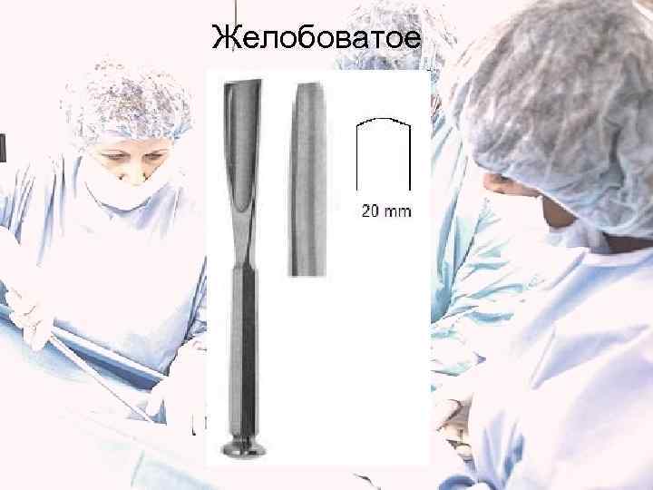 Желобоватое 