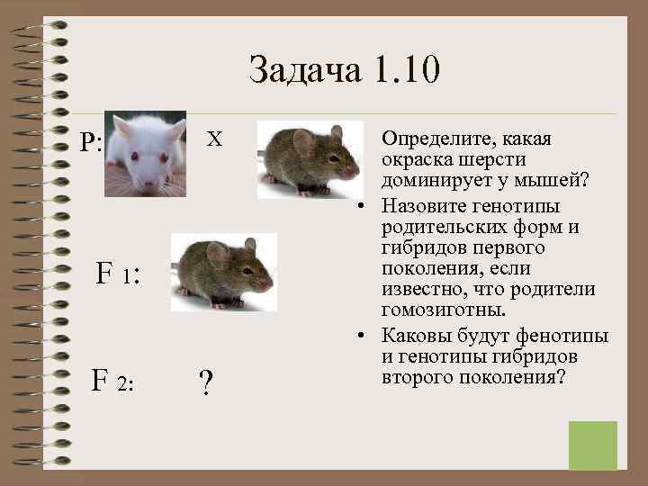   Задача 1. 10 Р:  Х   • Определите, какая 