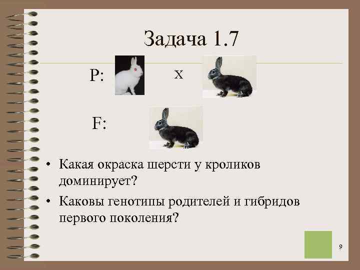    Задача 1. 7  Р:  Х   F: 