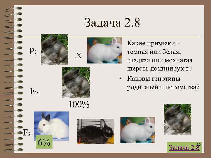    Задача 2. 8     • Какие признаки –